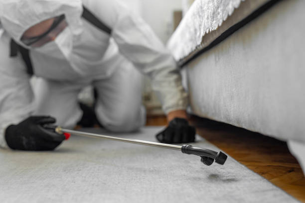 Professional Wasp Control technician working in Pueblo West, CO